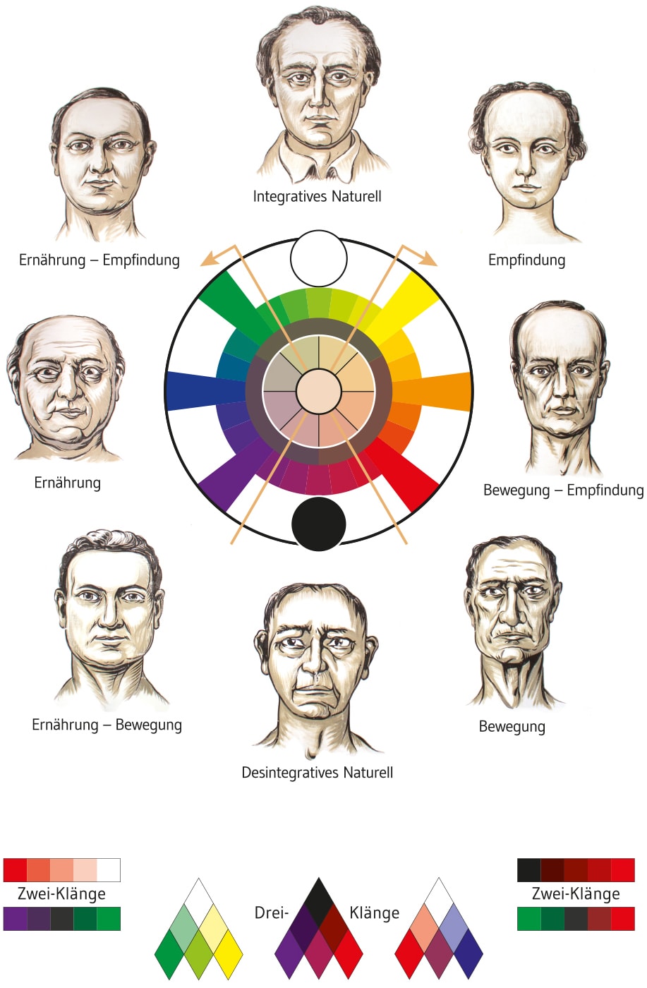 Gesichtsmerkmale physiognomie Physiognomie lernen,